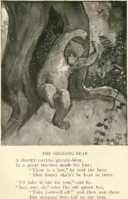 newell_obliging_bear