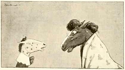 newell_straw_hat newell_straw_hat