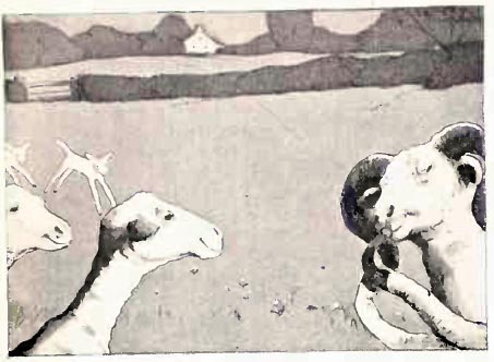 newell_independence_day