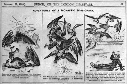 cassowary_s2 cassowary_s2