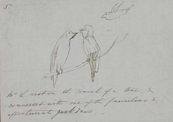 5. Mr. L. rests on the branch of a tree & converses with one of the familiar & affectionate jackdaws.
