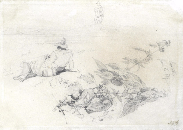 el_figures-foliage-s